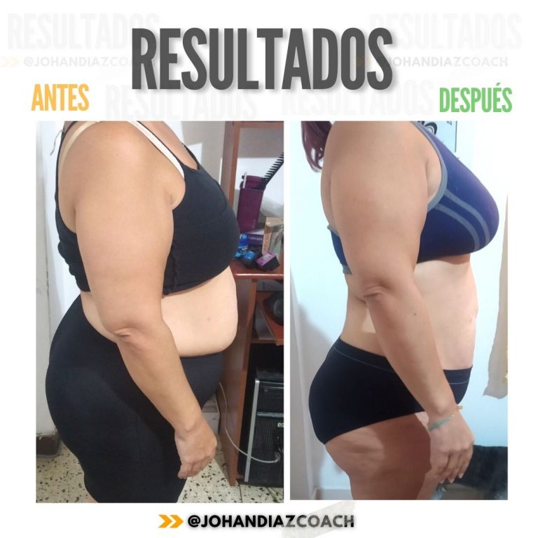 6 semanas