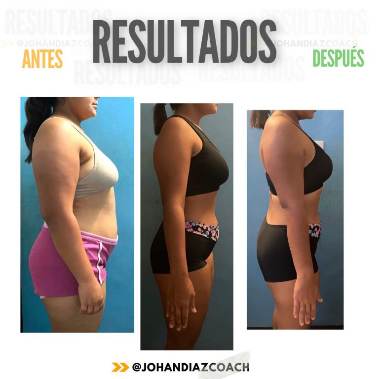 24 semanas