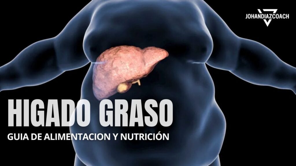 Hígado Graso: Dieta y Nutrición.